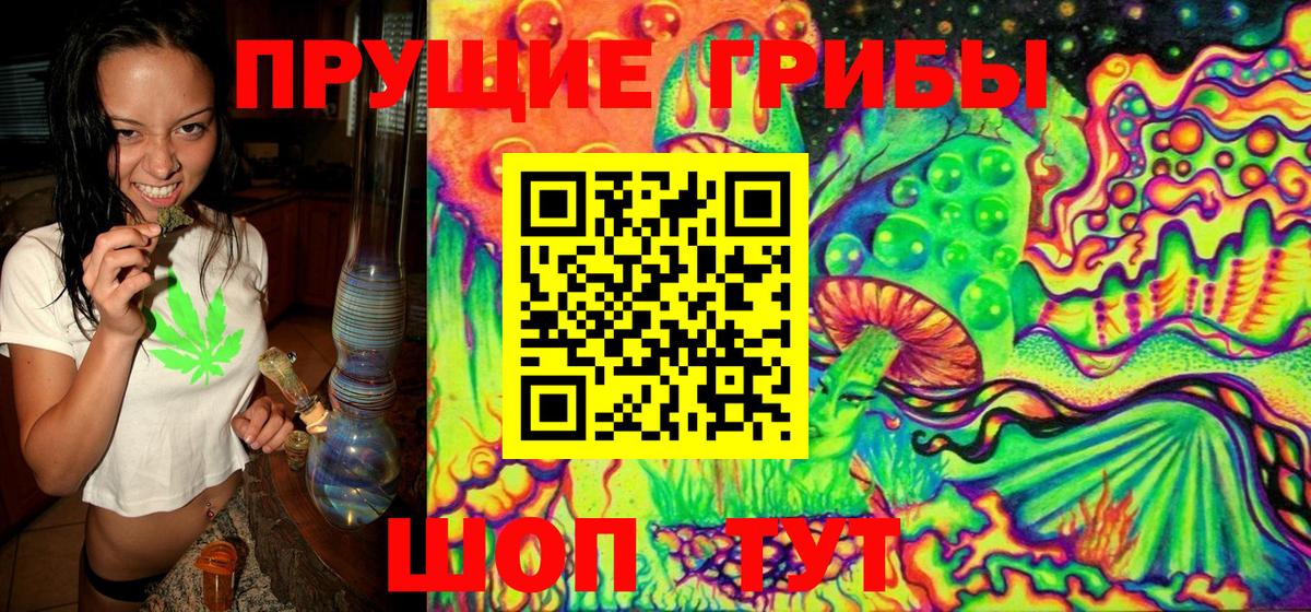 Псилоцибиновые грибы Cubensis Норильск