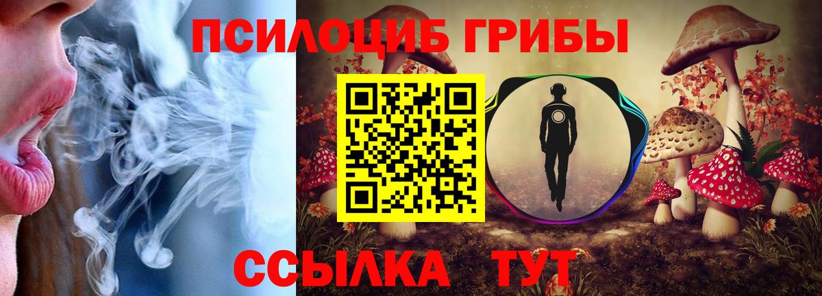 Норильск  Галлюциногенные грибы мухоморы  Вход с VPN 